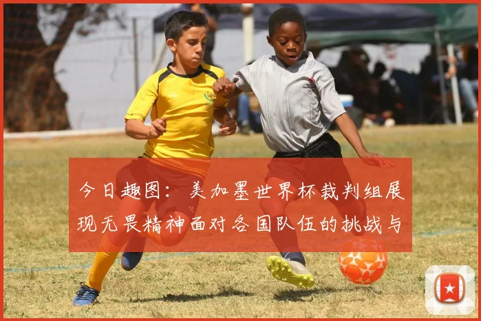 今日趣图：美加墨世界杯裁判组展现无畏精神面对各国队伍的挑战与针对